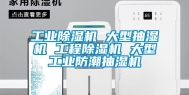 长征娱乐除湿机 大型抽湿机 工程除湿机 大型长征娱乐防潮抽湿机