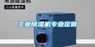 长征娱乐除湿机专业定做