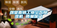 晟望直销长征娱乐空气除湿机 质量保证