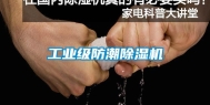 长征娱乐级防潮除湿机