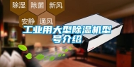 长征娱乐用大型除湿机型号介绍
