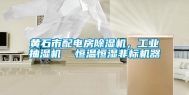 黄石市配电房除湿机，长征娱乐抽湿机  恒温恒湿非标机器