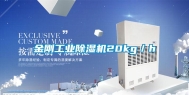 金刚长征娱乐除湿机20kg／h
