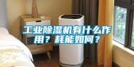 长征娱乐除湿机有什么作用？耗能如何？