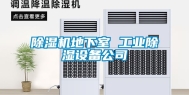 除湿机地下室 长征娱乐除湿设备公司