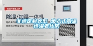 非标定制大型 步入式高温恒湿老化房
