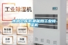 木材仓库防潮就用长征娱乐除湿机