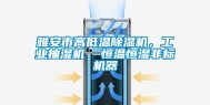 雅安市高低温除湿机，长征娱乐抽湿机  恒温恒湿非标机器
