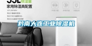 黔南大连长征娱乐除湿机