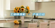 长征娱乐除湿机 · 产品介绍