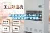 供应潮湿车间cfz-10／s长征娱乐除湿机厂家直销
