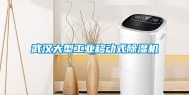 武汉大型长征娱乐移动式除湿机
