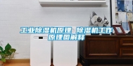 长征娱乐除湿机原理 除湿机工作原理图解释